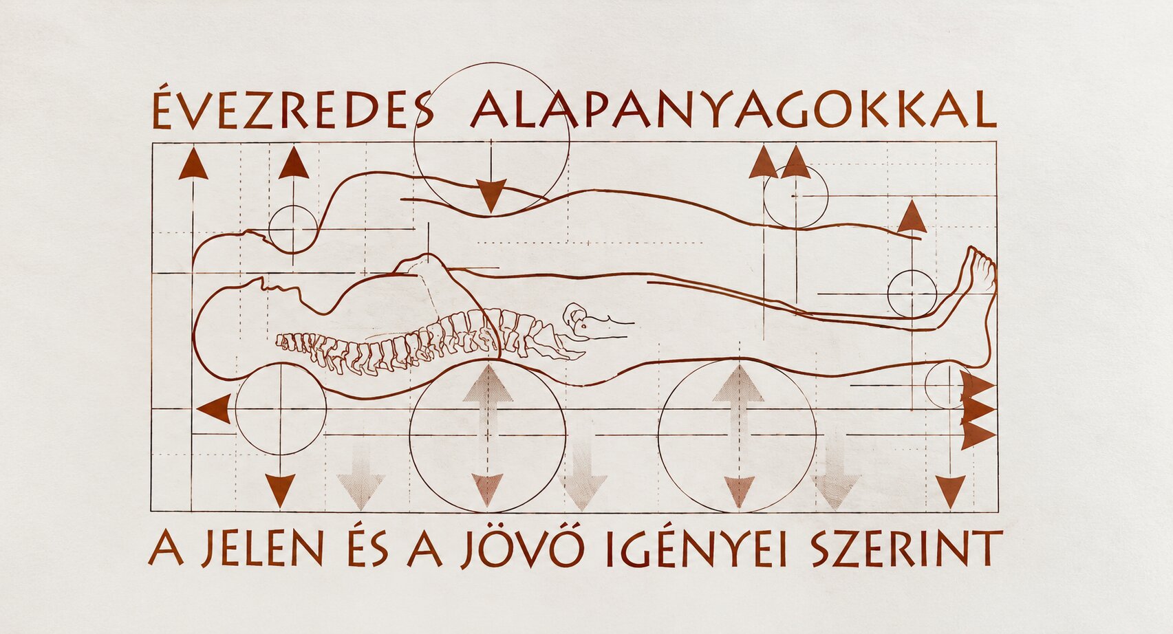 NOVETEX biomatrac – természetes alapanyagok, több évtizedes tapasztalat NOVETEX biomatrac természetes alapanyagokkal