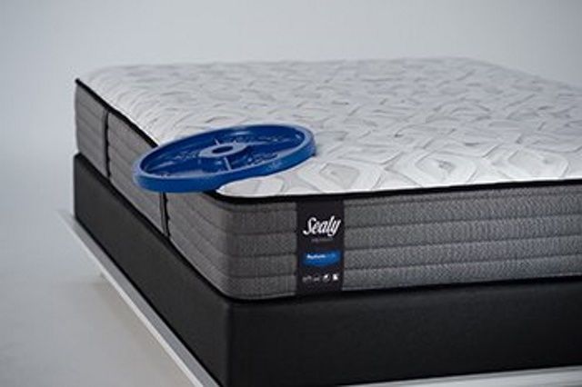 Sealy solid edge system súly a matracon